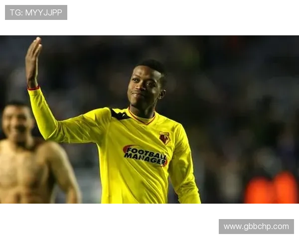 沃特福德俱乐部崛起之路与英格兰足球版图新格局探秘 沃特福德俱乐部崛起之路与英格兰足球版图新格局探秘